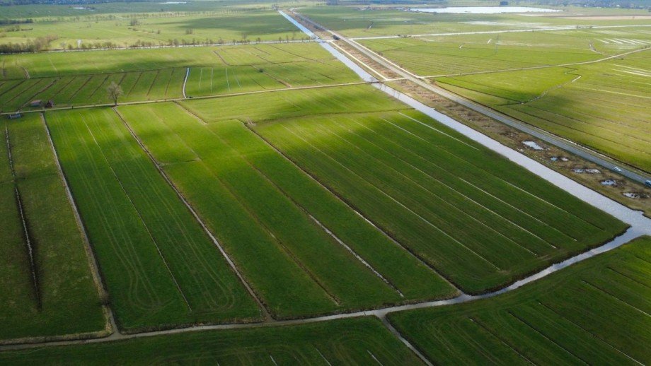 3 Land- / Forstwirtschaft - Grdst. Berne