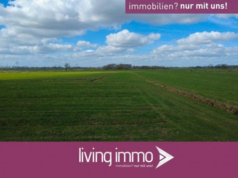 Titelfoto Berne Land- / Forstwirtschaft - Grdst. 22,17 Hektar gro�fl�chiges Gr�nland in hervorragender landwirtschaftlicher Lage
