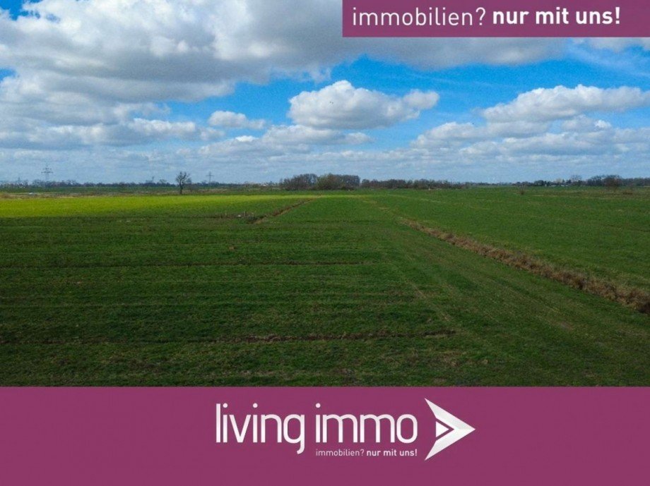 Titelfoto Land- / Forstwirtschaft - Grdst. Berne