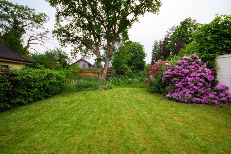 Garten 2 Einfamilienhaus Aurich