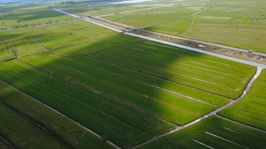 6 Land- / Forstwirtschaft - Grdst. Berne