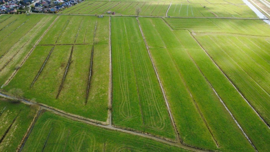 2 Land- / Forstwirtschaft - Grdst. Berne
