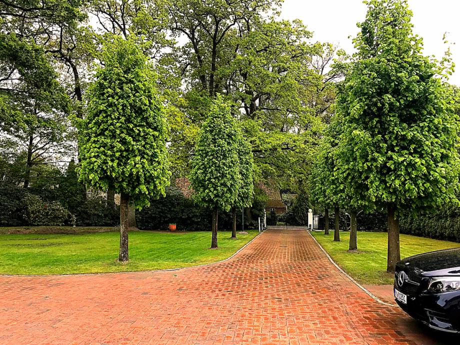 Lindenallee vorm Haus Einfamilienhaus Oldenburg