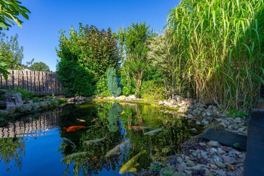 Gartenteich 1/2 Einfamilienhaus Ganderkesee