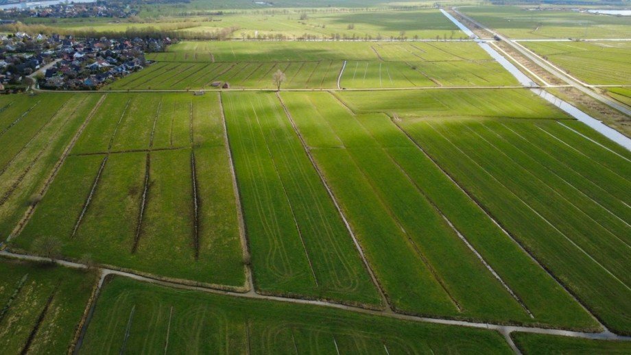 4 Land- / Forstwirtschaft - Grdst. Berne