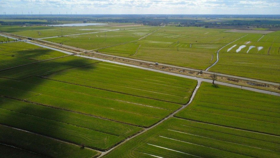 6 Land- / Forstwirtschaft - Grdst. Berne