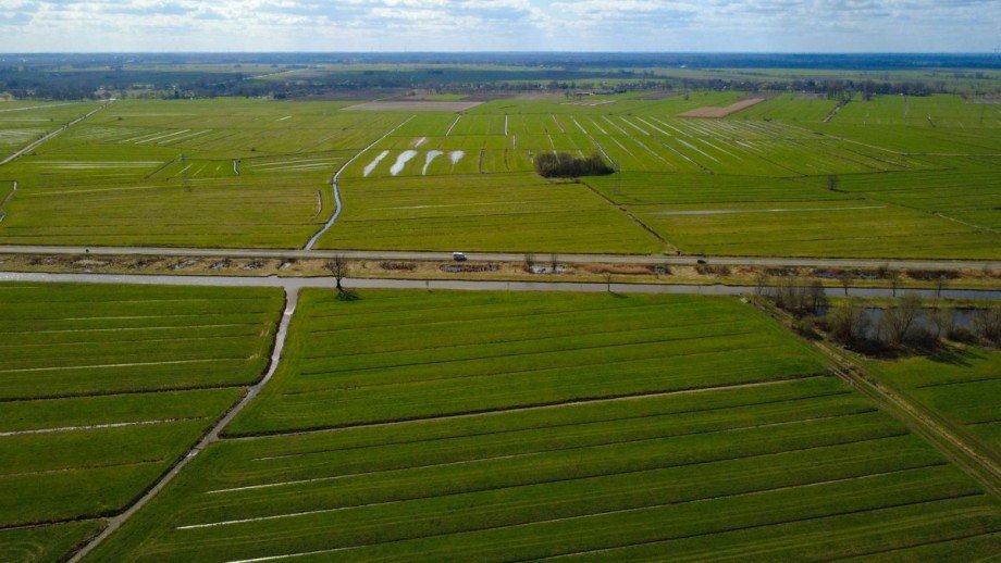 7 Land- / Forstwirtschaft - Grdst. Berne